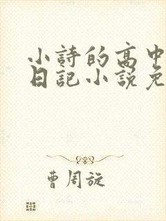小诗的高中成长日记小说免费阅读