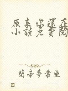 原来你还在这里小说免费阅读