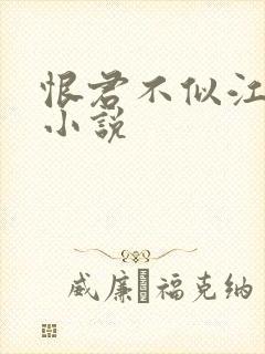 恨君不似江楼月小说