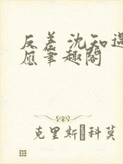 反差 沈知遇晏应笔趣阁