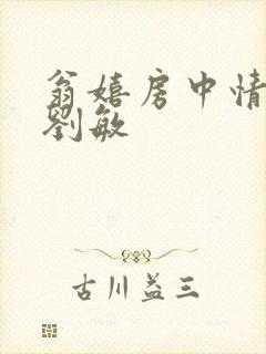 翁嬉房中情意浓刘敏封面