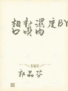 相对湿度BY大口吃肉