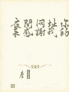 夜间网址你会回来感谢我的