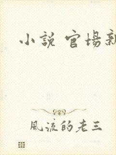 小说 官场新贵