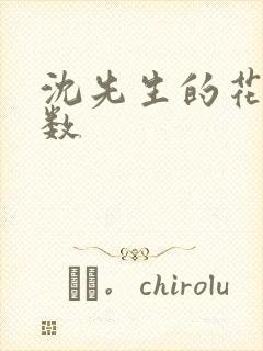 沈先生的花式调数