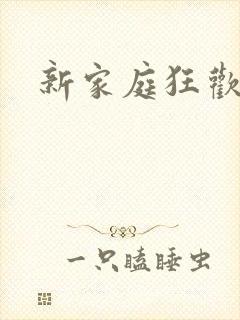 新家庭狂欢小说封面