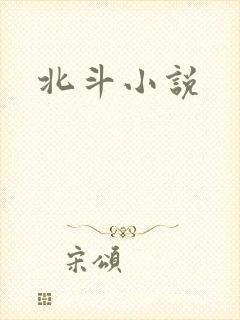 北斗小说封面