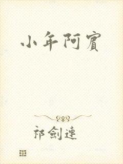 小年阿宾封面