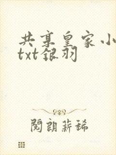 共享皇家小公主txt银羽