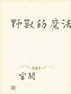 野兽的魔法师封面