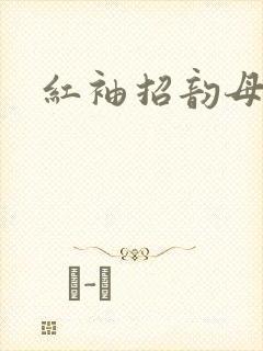 红袖招韵母攻略