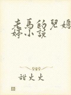 老马的儿媳顾婉婷小说