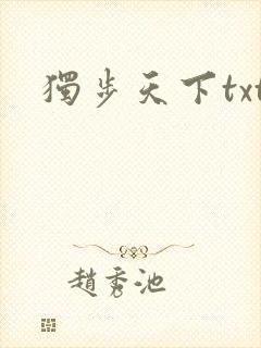 独步天下txt