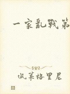 一家乱战第5部封面