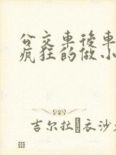 公交车后车座的疯狂的做小