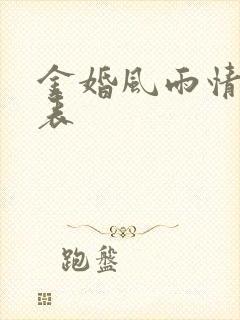 金婚风雨情演员表封面