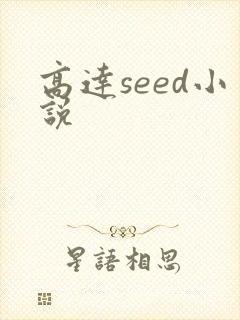 高达seed小说