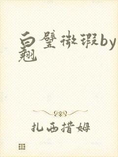 白璧微瑕by连翘