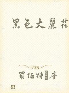 黑色大丽花图片封面