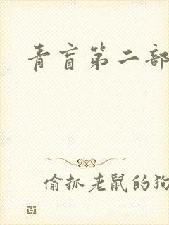 青盲第二部