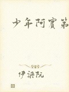 少年阿宾第二部