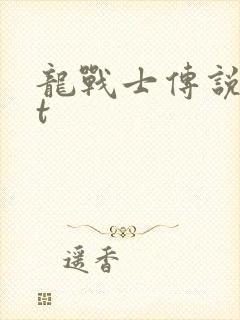 龙战士传说txt封面