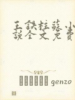 王铁柱苏小汐小说全文免费阅读最新章节