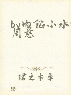 by肉馅小水饺周慈封面
