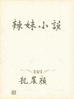 辣妹小说