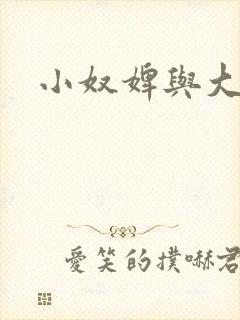 小奴婢与大少爷