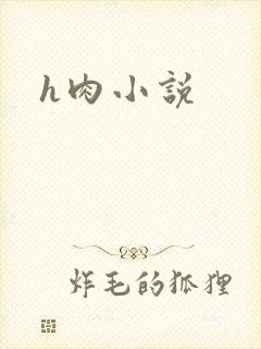 h肉小说