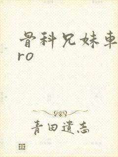 骨科兄妹车多pro