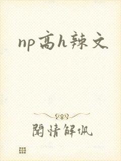 np高h辣文封面