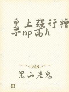 皇上强行糟蹋太子np高h