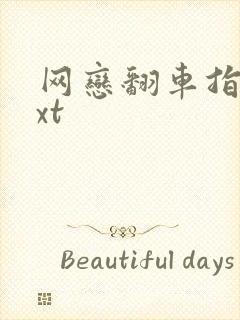 网恋翻车指南txt