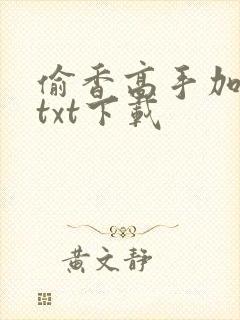 偷香高手加料版txt下载封面