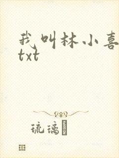 我叫林小喜小说txt