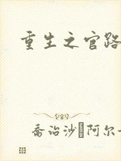 重生之官路风流