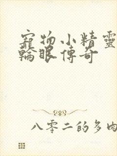 宠物小精灵之写轮眼传奇