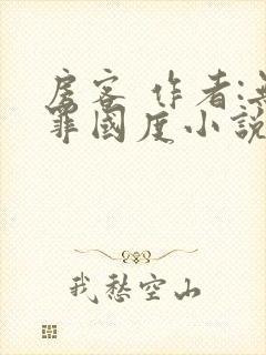 房客 作者:无罪国度小说全文免费封面