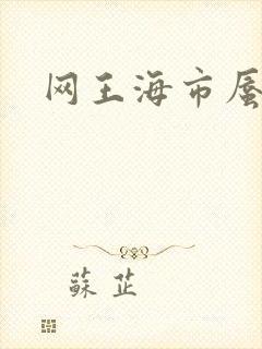 网王海市蜃楼