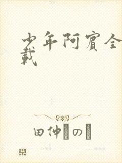 少年阿宾全集下载