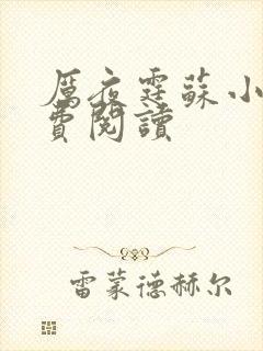 厉夜霆苏小汐免费阅读