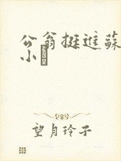公翁挺进苏玥的小泬