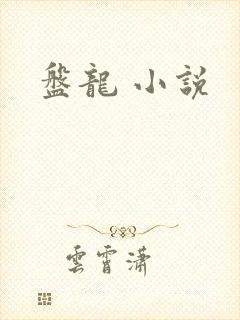 盘龙 小说
