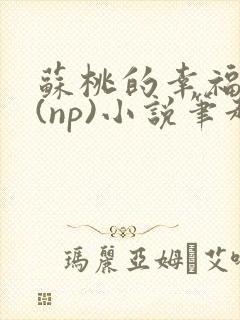 苏桃的幸福生活(np)小说笔趣阁沐沐