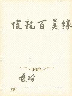 俊龙百美缘小说