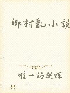 乡村乱小说封面