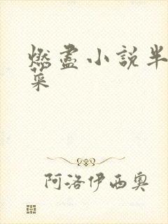 燃尽小说半截白菜