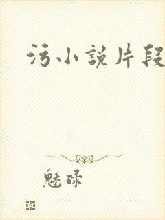 污小说片段封面